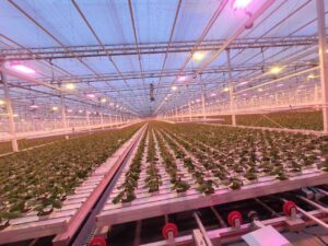 img 20250821 004452 443