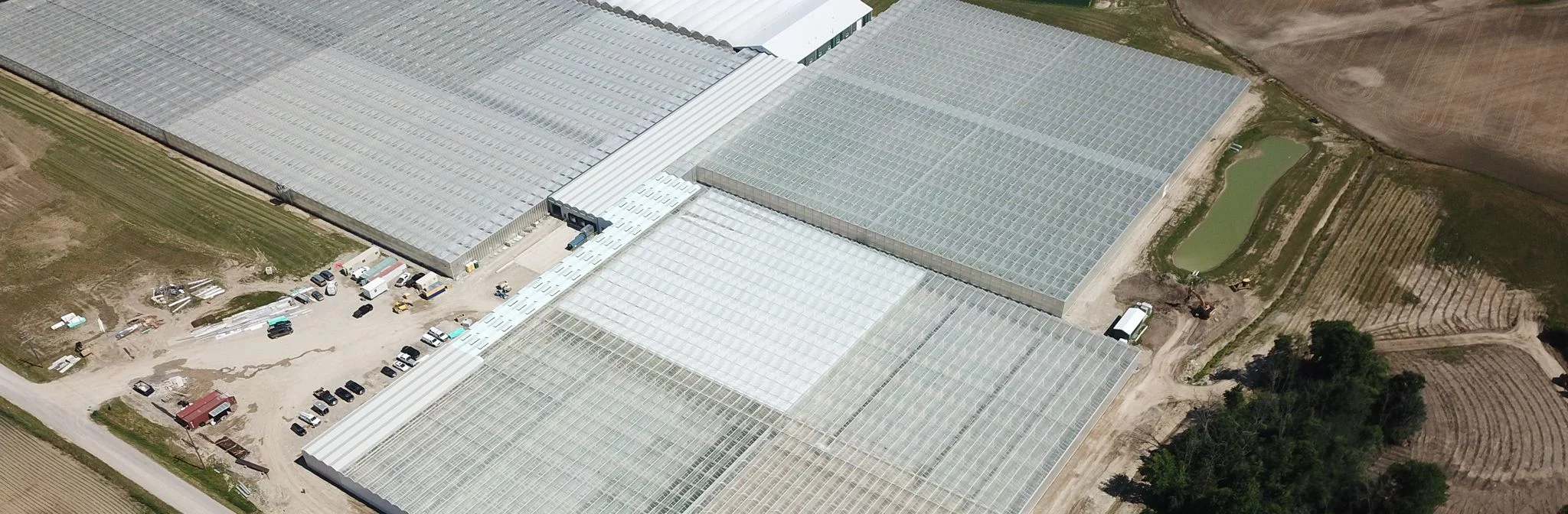 proplant propagation phase 4